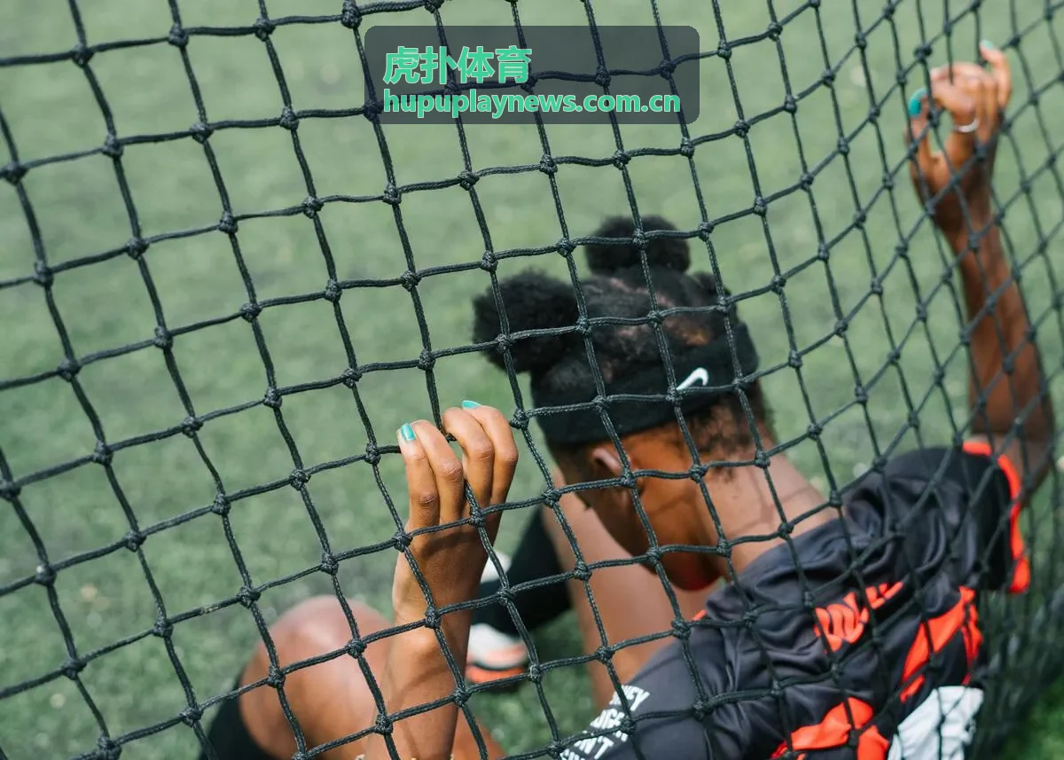 虎扑体育数据可视化图表展示